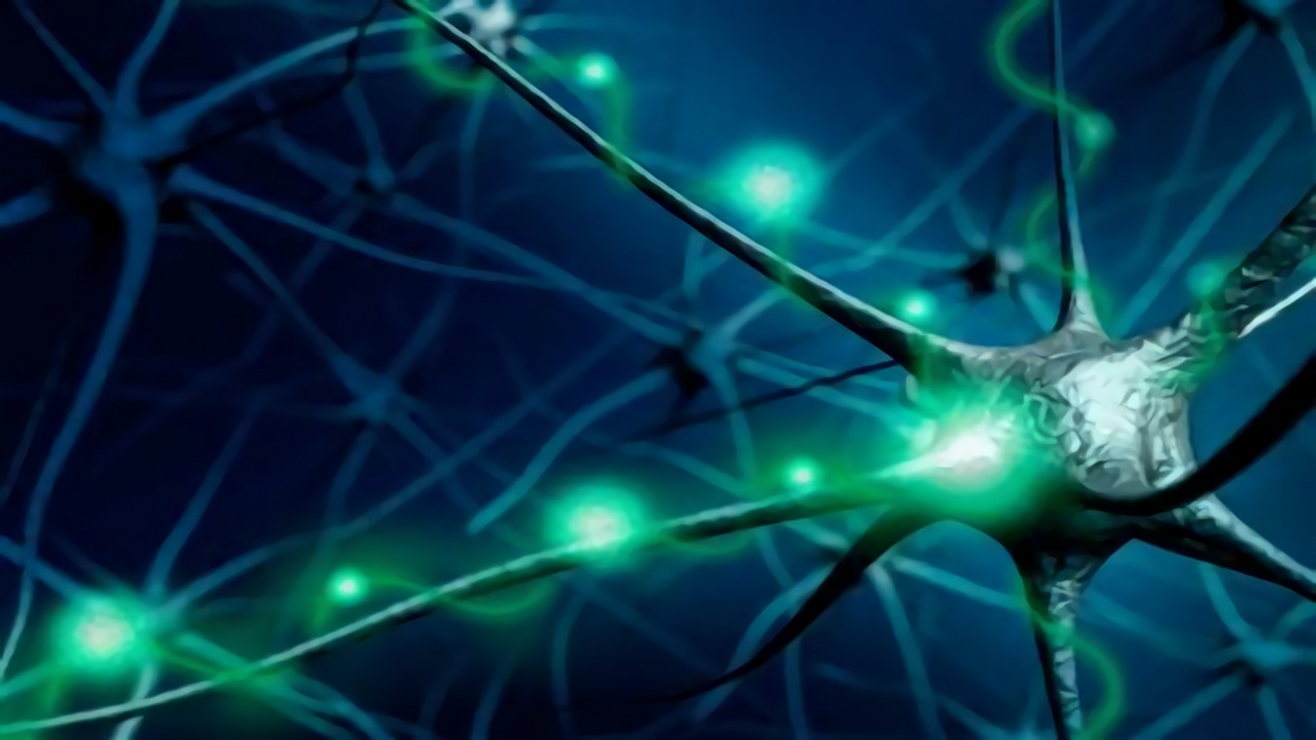 初级运动皮层中所有细胞类型的图谱，是首个全面脑细胞图谱