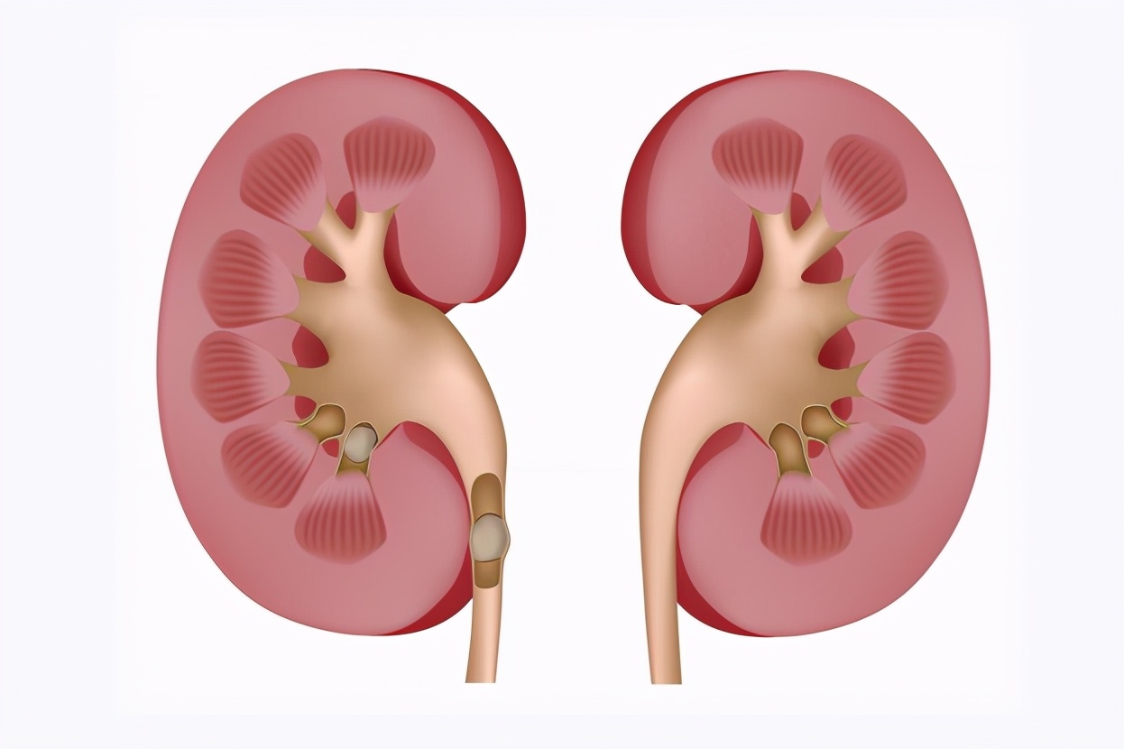 运动|阳气亏虚不可怕，日常做好这4件事，轻松补足阳气！