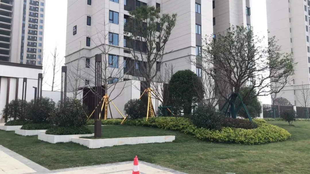 卫生间的圣母像|武汉经开一楼盘交房在即，近5成房源用于安置拆迁户！