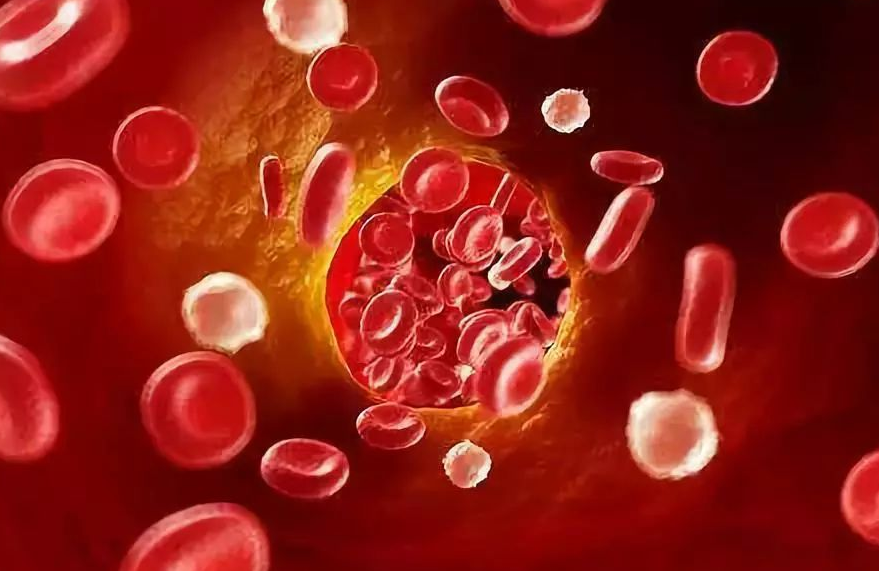 39健康网 血液\"稀释剂\"公布了,山楂没上榜,你经常吃这种物质,血会“像水般清澈”