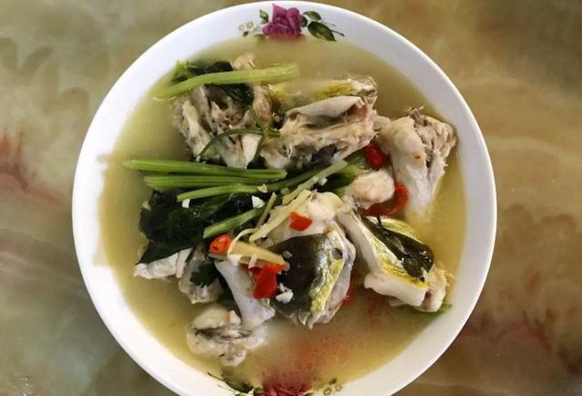 |深圳钓友珠江连续钓起十几条河豚,珠江里河豚这么多?