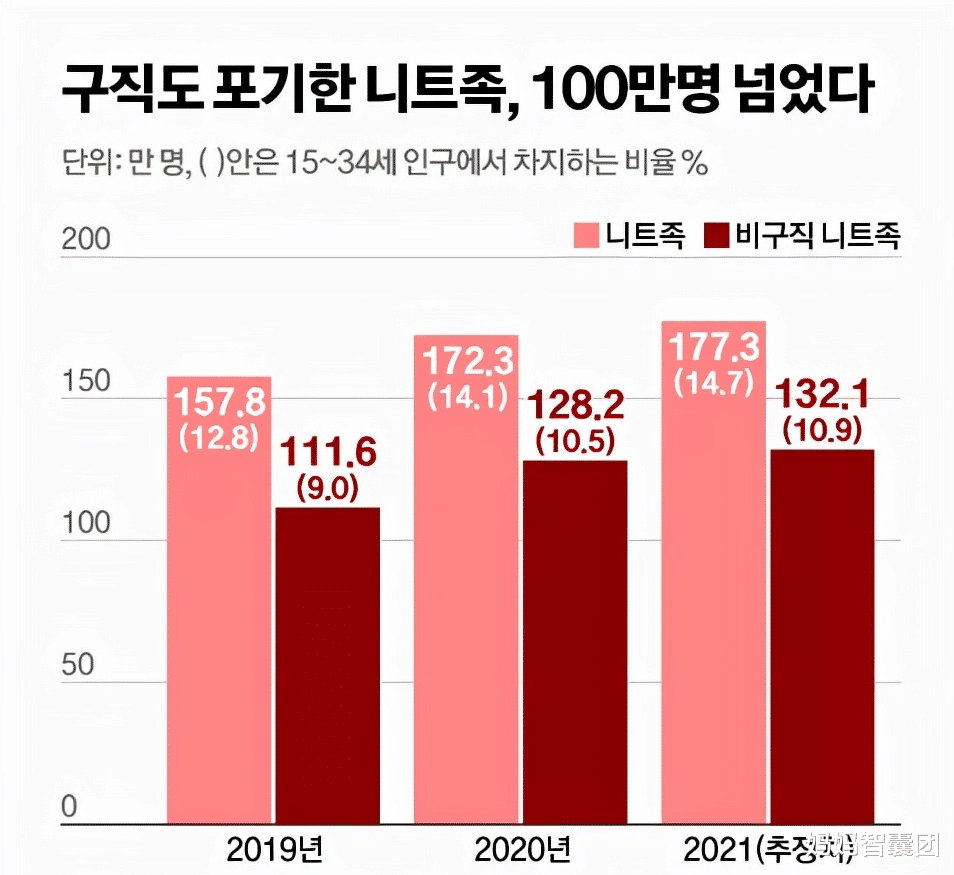 韩国|韩国年轻人集体躺平,只有不到十分之一大学生还在努力找工作