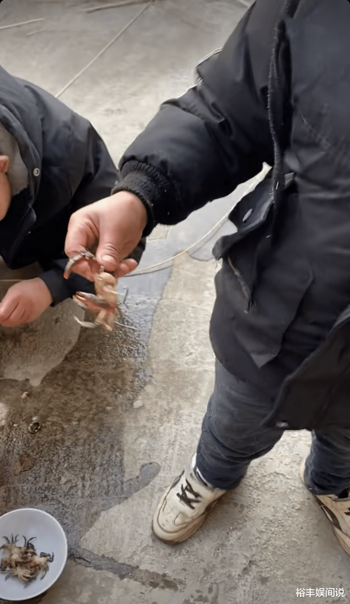 范小勤|“小马云”范小勤越来越懂事，携哥哥外出抓螃蟹，有鱼有肉吃得香