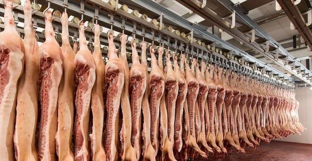 交易 “集中屠宰”弊端初现！屠宰费不断上涨，导致市场肉价高居不下