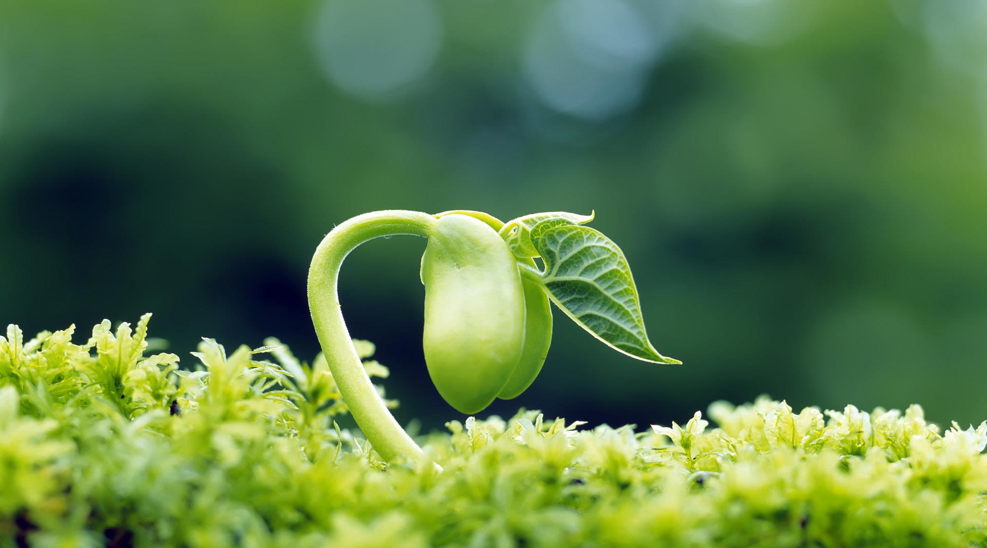  乌龟是如何成为科学家们的“噩梦”的？堪称进化论的终极BUG