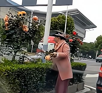 阜阳那些事 “奔驰女”剪花后续!处罚结果来了