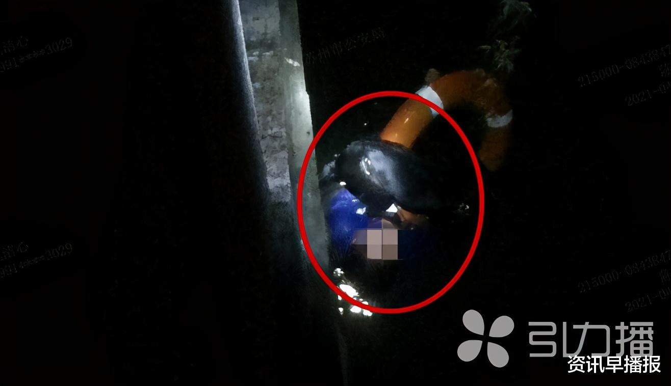 资讯早播报 凌晨松开狗绳遛狗,结果苏州吴中越溪这名女子与宠物犬双双落水