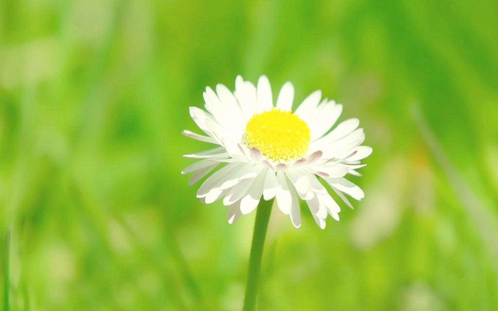 星座师安达|有傲骨、不轻易妥协认输的星座,很难被人打倒