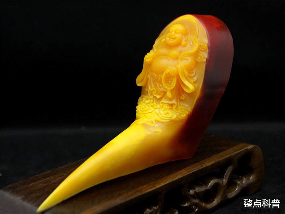 脑袋被人类盯上的鸟，头骨比象牙贵3倍，活着被取骨后只能等死