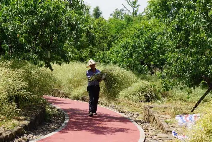 畅言 女业主晒出一幕，网友看完羡慕哭：这是什么神仙小区