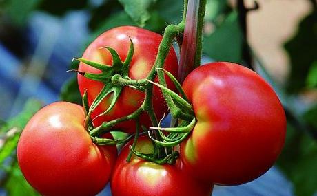 衰老|女性若不想“衰老快”,4种食物建议常吃,蜂蜜上榜