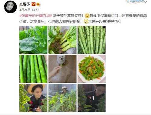 张馨予|张馨予发文：今后要好好努力，不再沉迷种花种菜