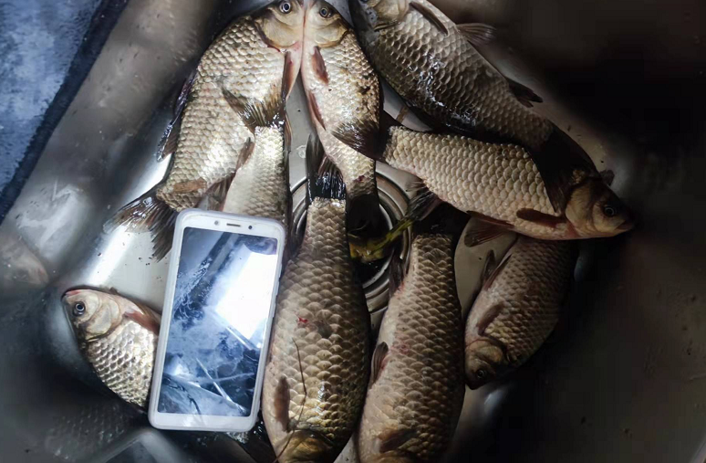 |玩传统钓的季节，自己做线组即可，不要追求朝天钩，5号伊豆即可