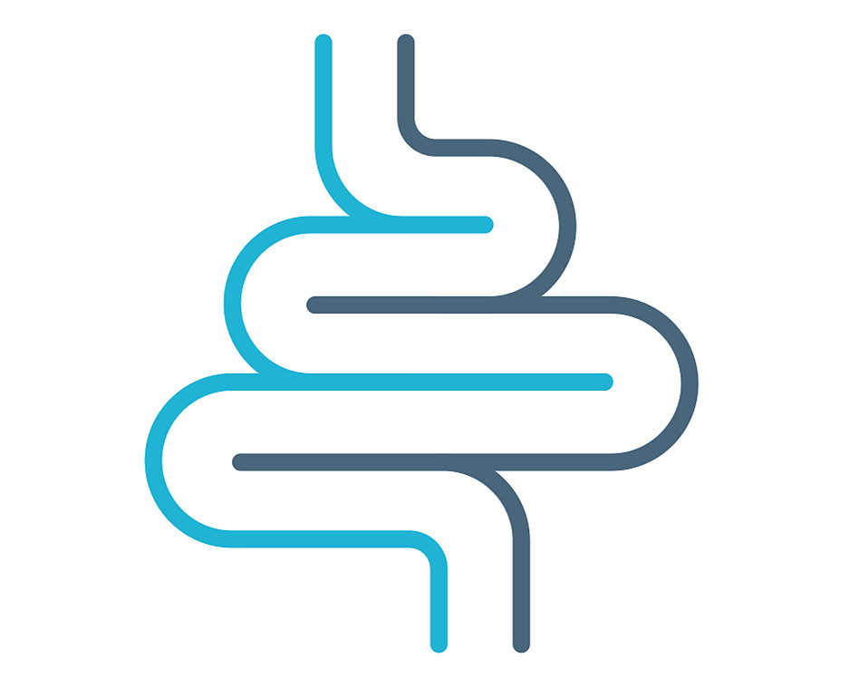 抗生素|抗生素对人体不同时期肠道菌群的影响,这个时期影响最大!