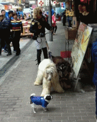 铭洋说育儿|神回复：用叔叔阿姨造句，必须同时得罪两个人，评论区大神够狠！