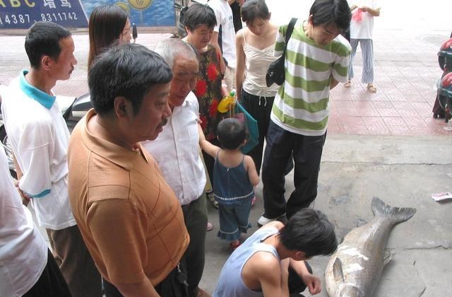 程凌云|为何邓刚和李大毛，只要钓青鱼都能钓获？而咱们钓不到？