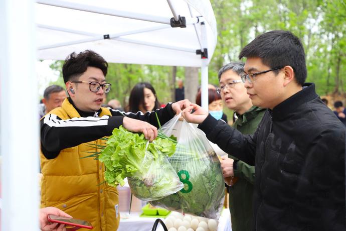 哲观世界 最是一年春好处，槐花香飘暖泉湖