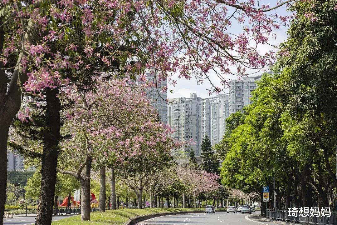 琦想妈妈|公立幼儿园教学就是不一样，中班开始就对孩子进行自然教育