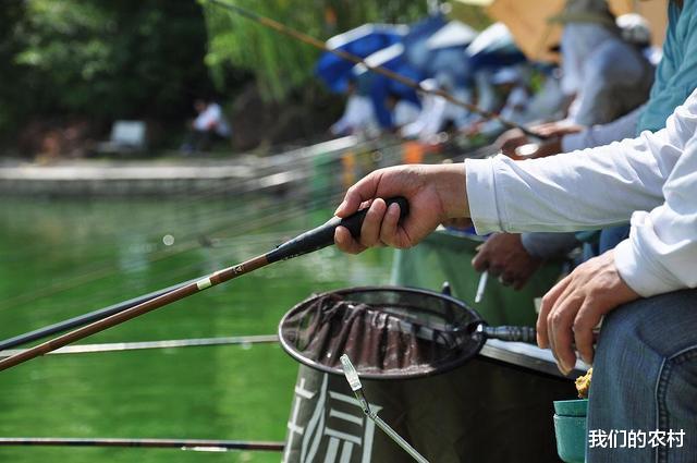 |人们常说:“钓鱼穷三代,玩鸟毁一生”你对此怎么看呢