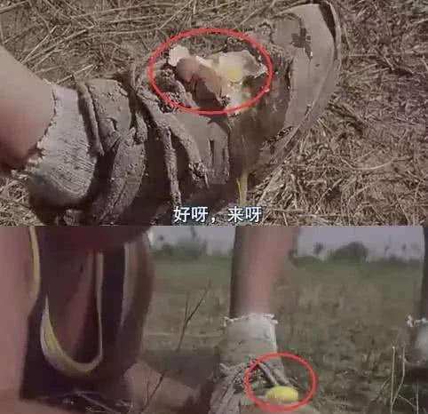 穿帮镜头|笑到胃痛的穿帮镜头，关晓彤我忍了，火凤凰肚子的赘肉太过分了