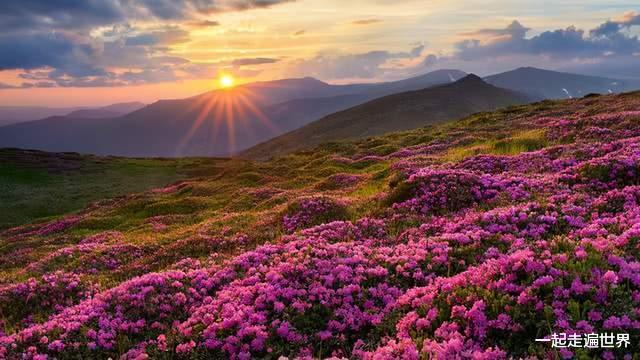 宜宾 黄山又“客满”了!3.55万张门票,预售一空