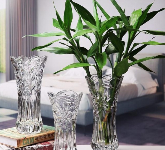 卧室养花“讲究大”，4种“漂亮花”对身体伤害大，尽早搬出去