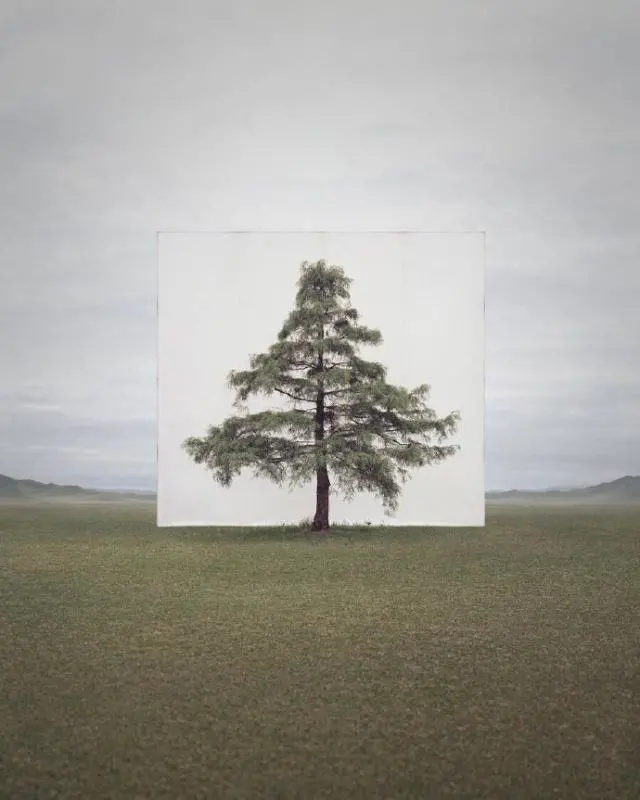 情感语录生活感悟|值得分享品读的人生格言，看完大彻大悟！