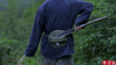 李子柒|活在仙境里的李子柒，“仙气”崩塌，近照惨不忍睹