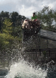 萌萌萌说|如果世界上男性消失24小时，世界会发生什么？哈哈.海平面上涨！