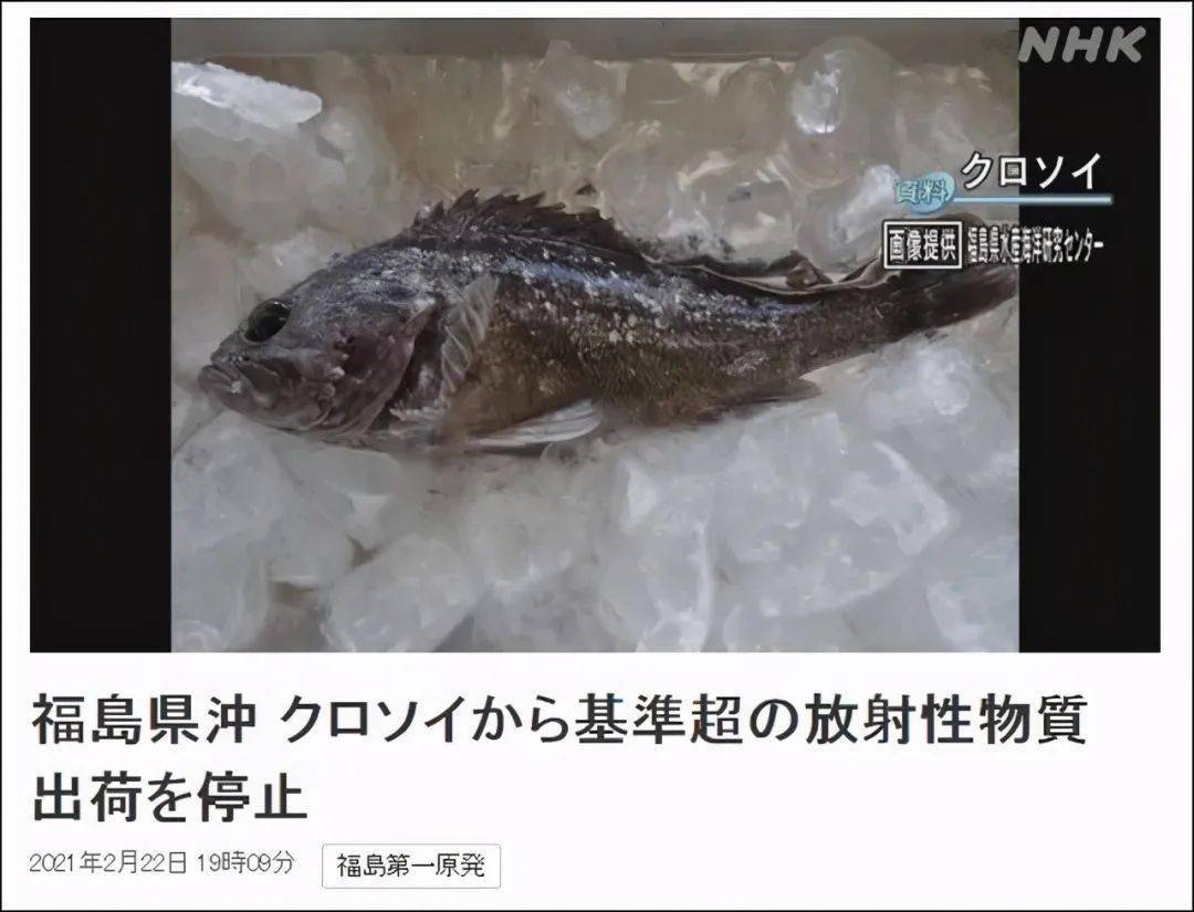 近海早已被污染，日本禁止本土海鮮上市-圖4
