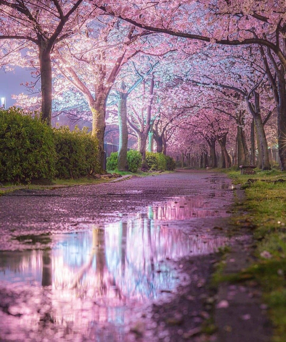 三句情话文案|最美的风景和最坏的结果,你我都曾遇到过,却仍然在努力生活