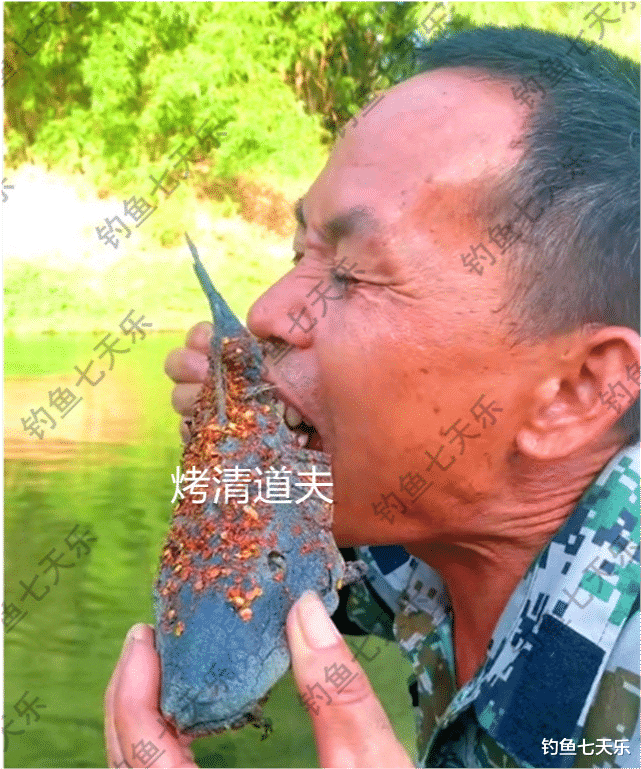 福建省|福建九龙江“清道夫”泛滥，钓鱼人半天钓了几十条！有人拿去烤了吃