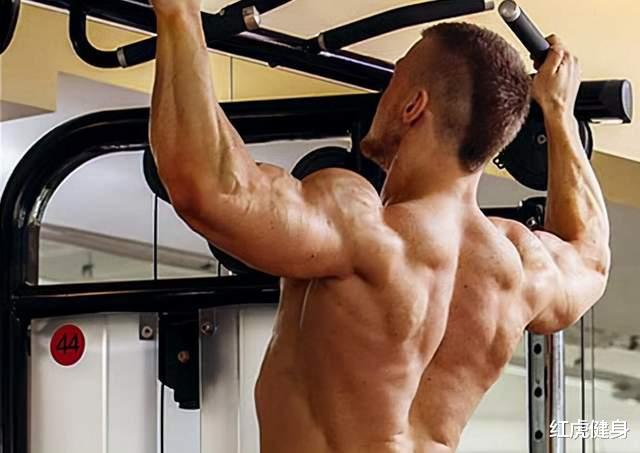 脂肪肝|经常健身的你,是小白还是精英?快来看看5大项的力量标准