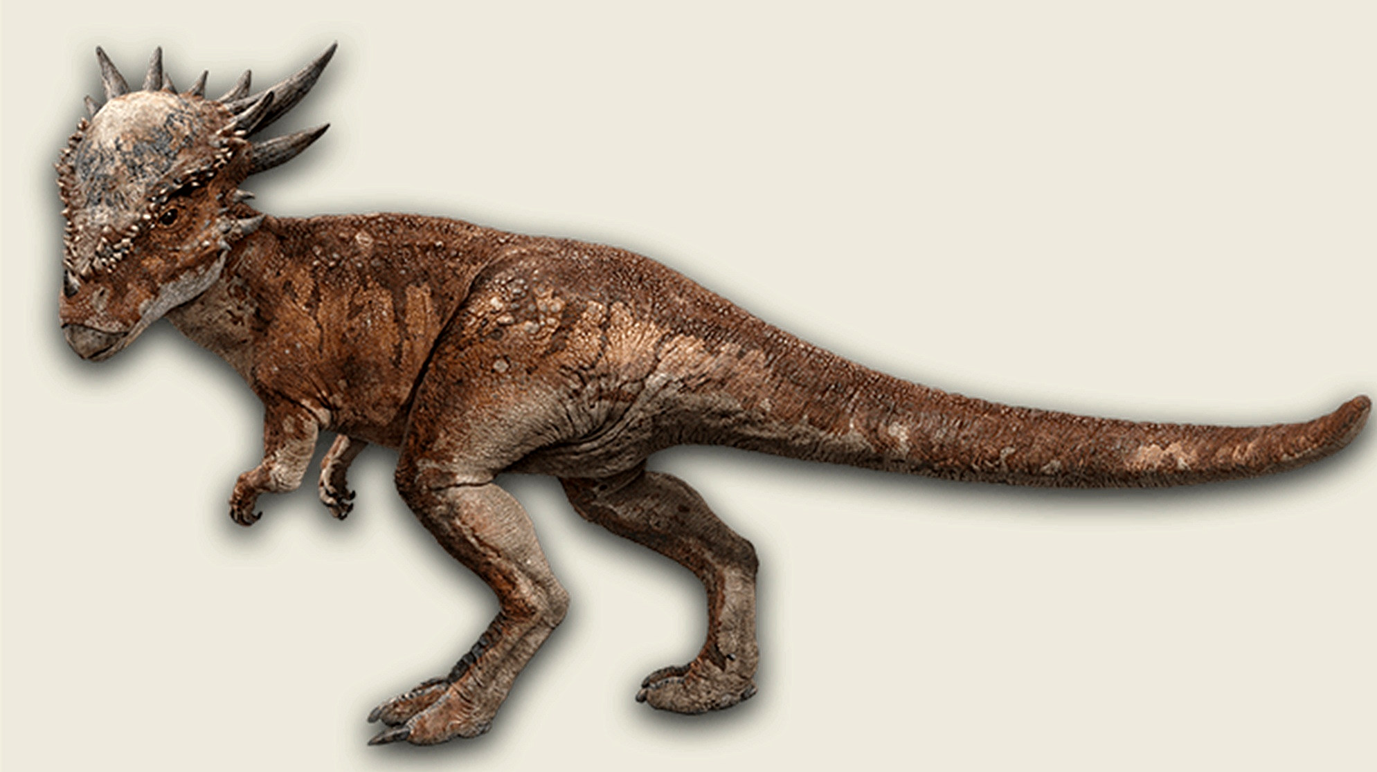 李若彤|《侏罗纪世界3》发新剧照，星爵再次秀驯龙技能