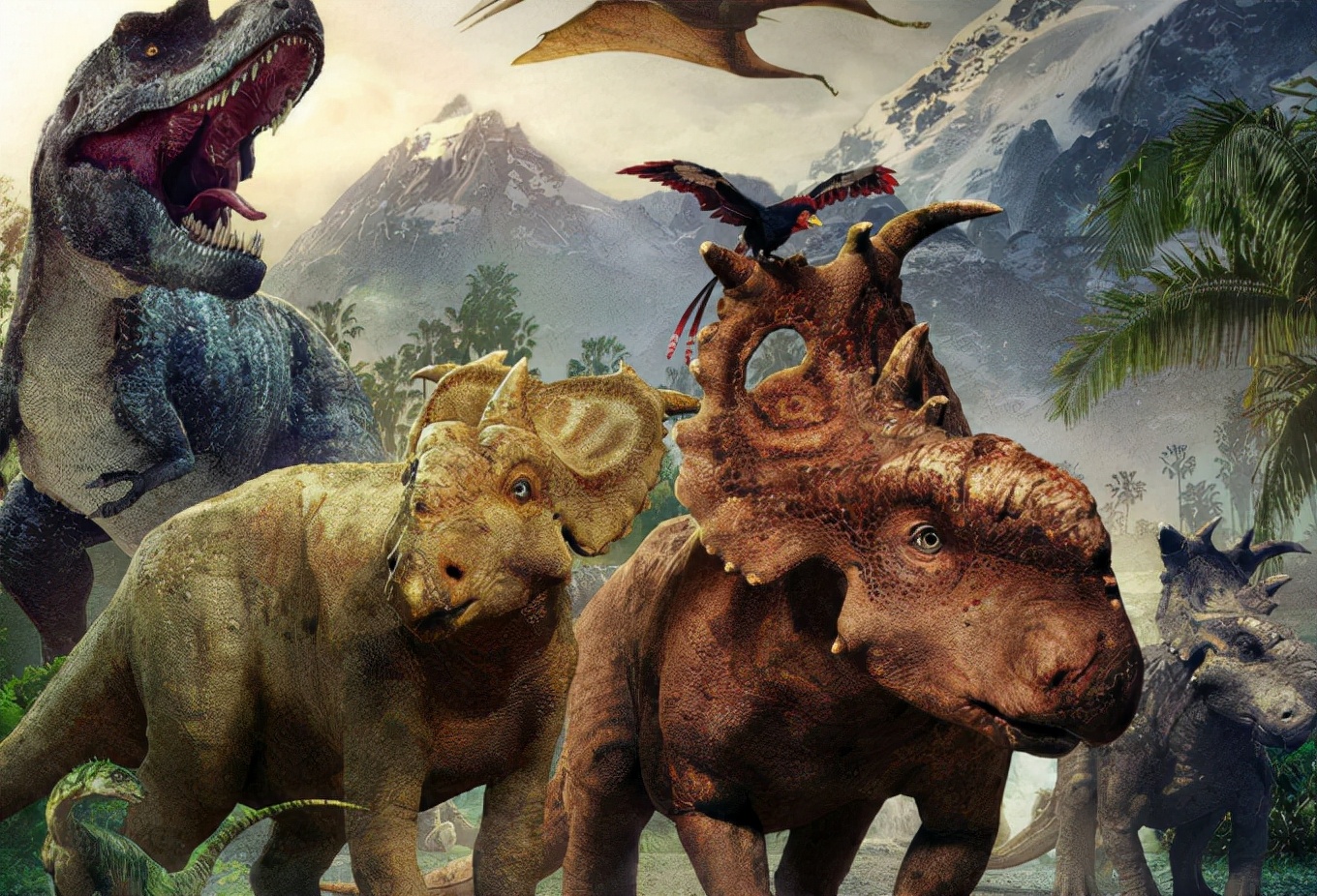 鲨鱼 鲸鱼：4000万年前的鲨鱼怎么也想不到，最大的对手竟来自陆地