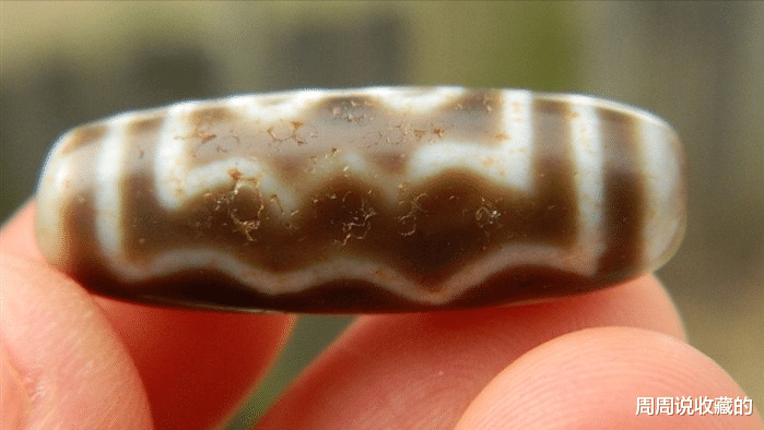 菊花|仿珠到底玩的是什么?