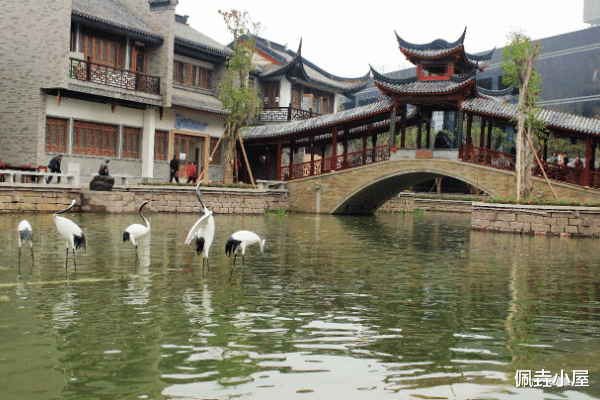 四川省 四川4A景区“犯了众怒”，遭质疑吐槽，美景虽好，可不要膨胀哦！