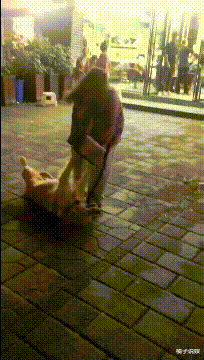 “男子四千公里奔现新疆漂亮姑娘”网友神评：“削肾客的救赎”