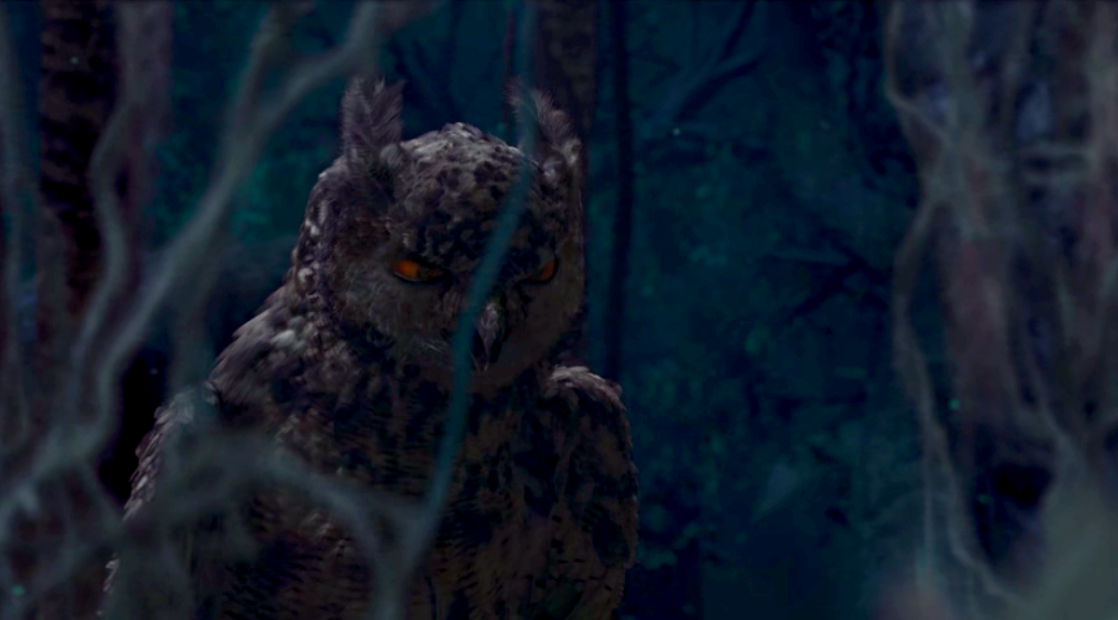 张嘉益|大反转！《理想之城》沦为陪跑，这部王炸剧上线1天，播放就夺冠