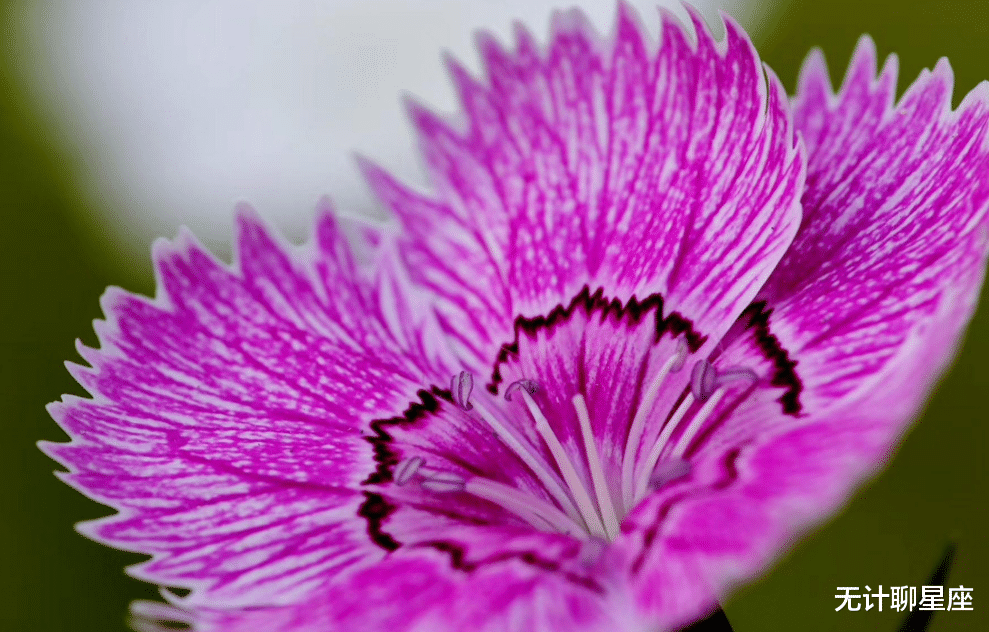 无计聊星座|7月份，4个星座，努力不懈怠，好运如期至，事业攀高峰