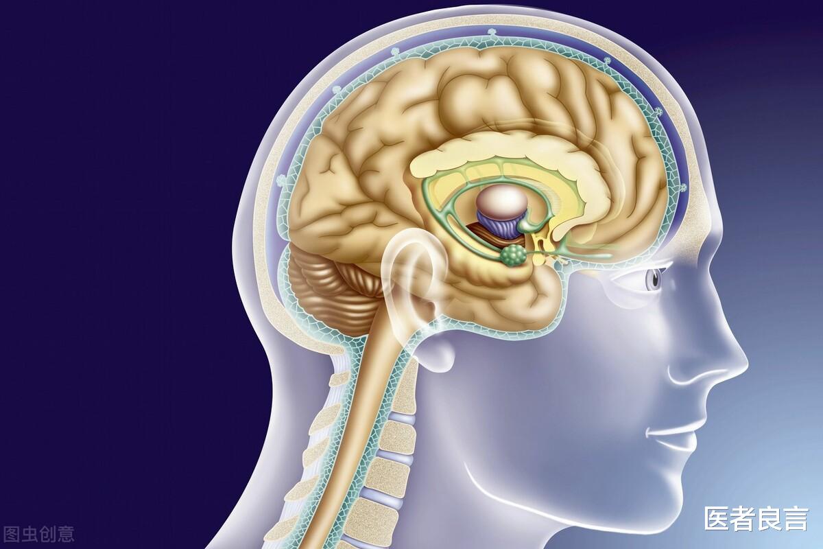 医者良言 癌症患者都是被治死的?癌症晚期的治疗就是陷阱?医生告诉您真相