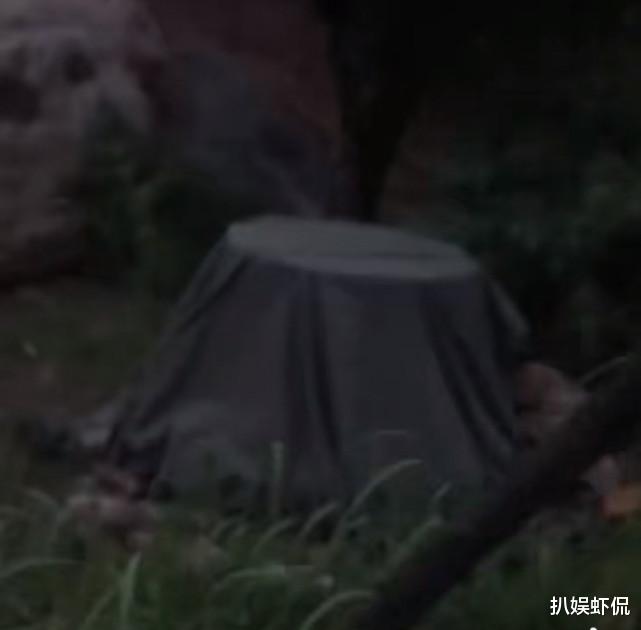 甄嬛传|名嘴宋祖德曝：林生斌大部分资产已经被冻结，还被限制出境