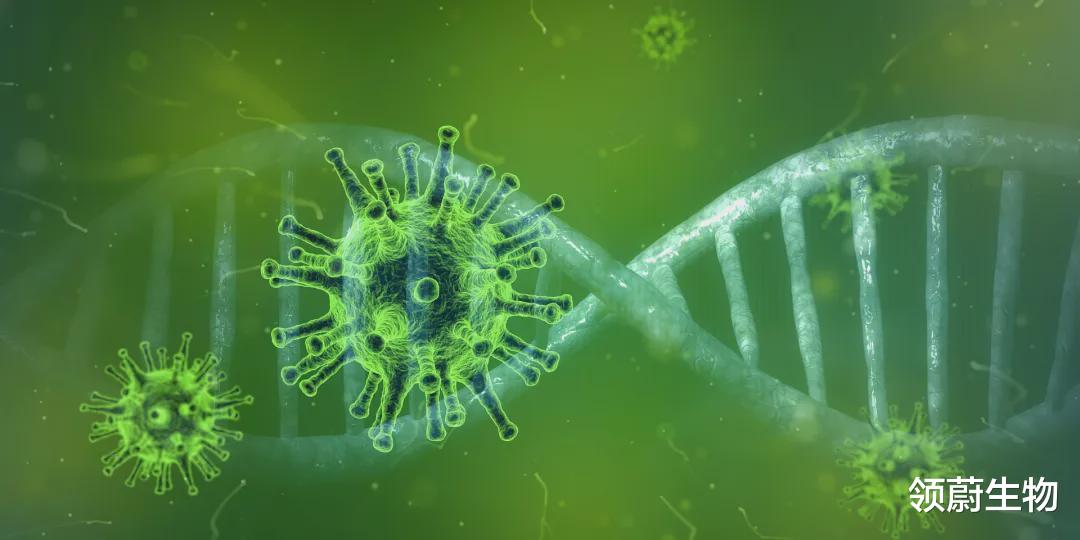 四季中国 100%预防！新型纳米癌症疫苗！还可和PD-1抗体联用提高治疗效果！国研免疫治疗新进展