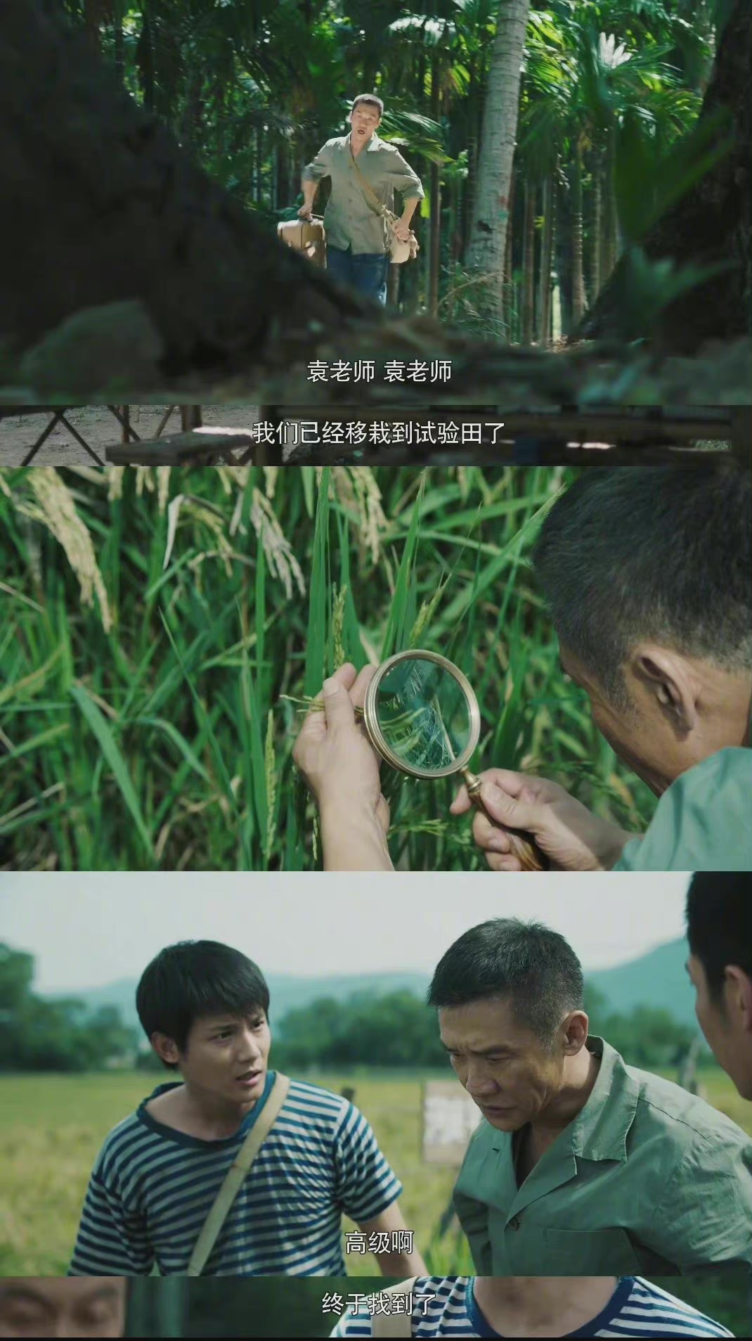 《功勋》——袁隆平的梦