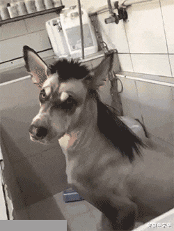 “这个女的一见面就问我要68万的彩礼,怎么办?”