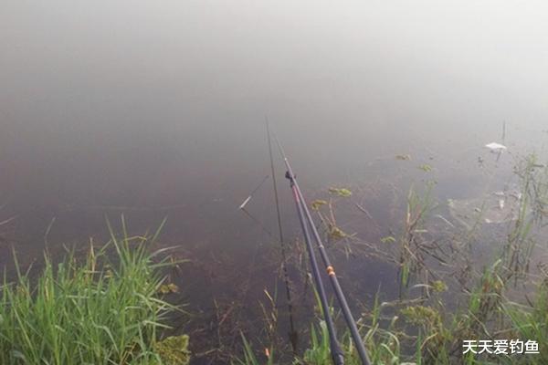 |早春钓鱼，这种天气才是“爆护”良机，遇上了一定别错过！