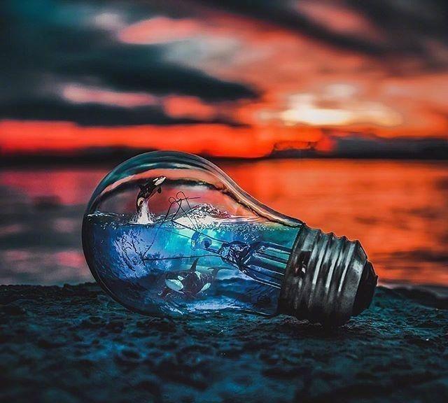 白羊座|外表花心，内心却无比深情的星座：一旦动了心，便是一辈子