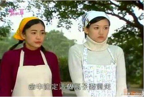 林韦君|20年前比《流星花园》还火,如今主演全糊了,小龙套反成收视女王