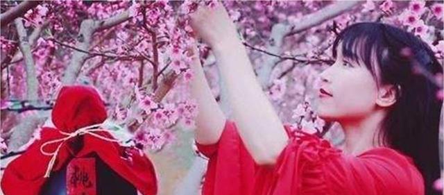 杨紫|李子柒微博之夜造型引关注，脱离VOLG的滤镜，这颜值我没看错吧？