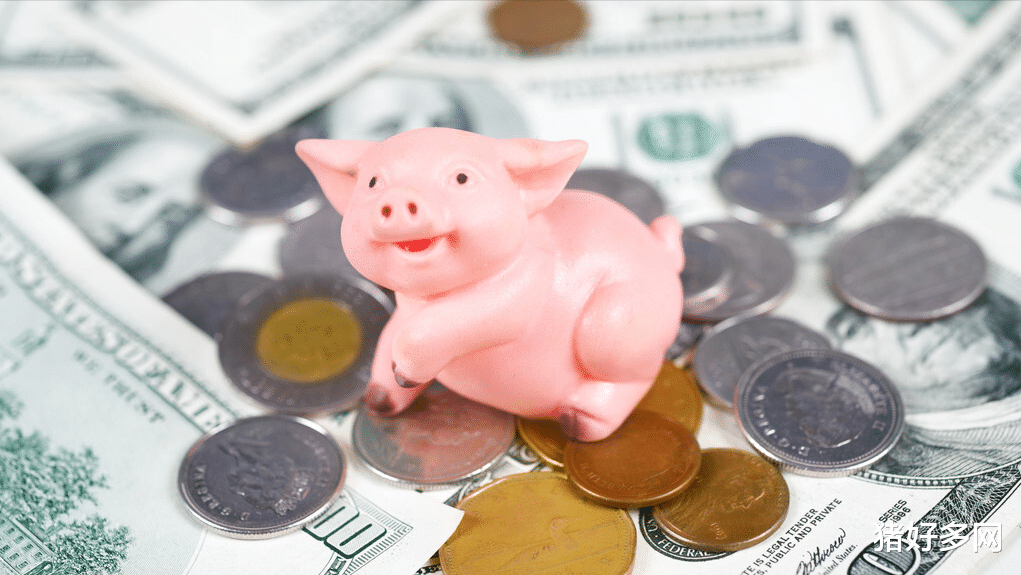 养老金 5月6日10公斤仔猪价格,6月猪价看涨,手中有仔猪在育肥是利益所在?